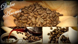 cafe-aroma-ribera